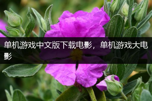 单机游戏中文版下载电影，单机游戏大电影