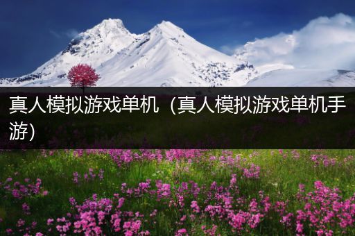 真人模拟游戏单机（真人模拟游戏单机手游）