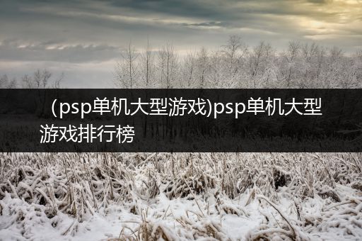 （psp单机大型游戏)psp单机大型游戏排行榜