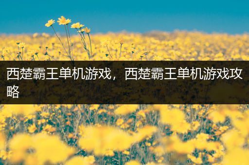 西楚霸王单机游戏，西楚霸王单机游戏攻略