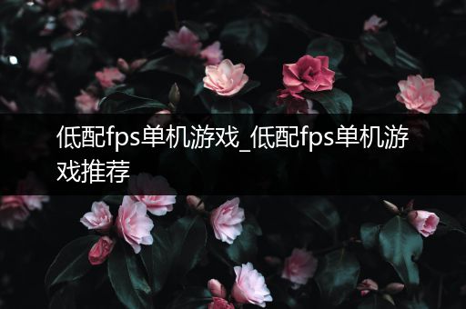 低配fps单机游戏_低配fps单机游戏推荐