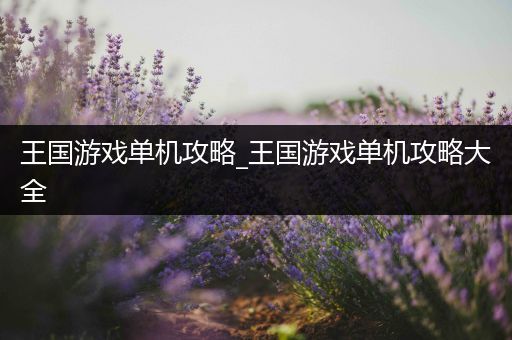 王国游戏单机攻略_王国游戏单机攻略大全