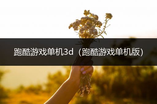 跑酷游戏单机3d（跑酷游戏单机版）