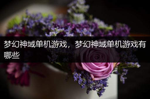 梦幻神域单机游戏，梦幻神域单机游戏有哪些