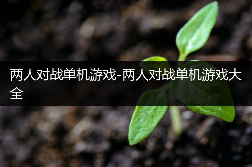 两人对战单机游戏-两人对战单机游戏大全