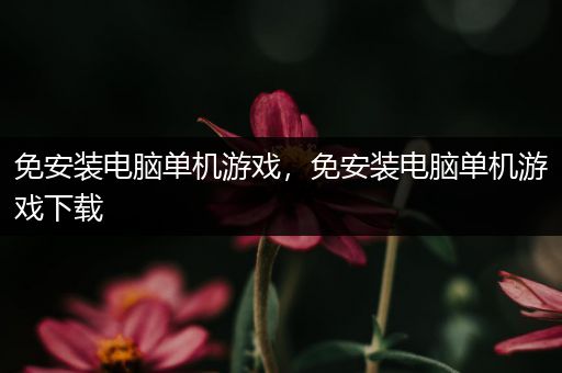 免安装电脑单机游戏，免安装电脑单机游戏下载