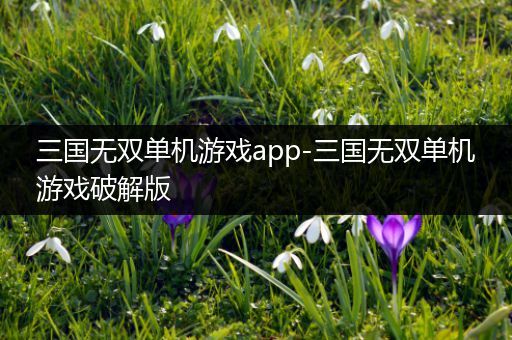 三国无双单机游戏app-三国无双单机游戏破解版