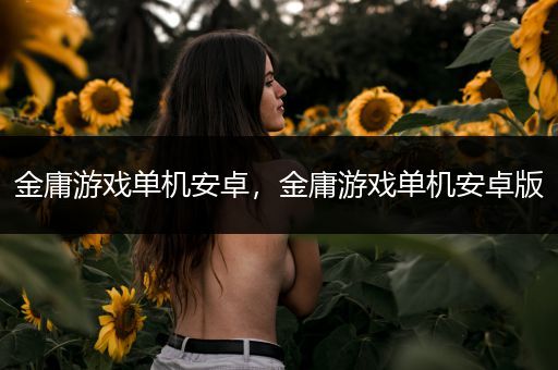 金庸游戏单机安卓，金庸游戏单机安卓版