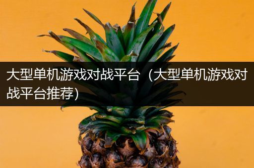大型单机游戏对战平台（大型单机游戏对战平台推荐）