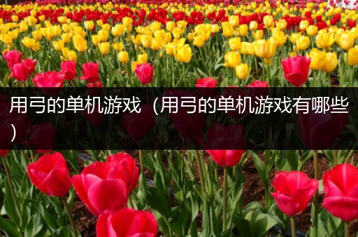 用弓的单机游戏（用弓的单机游戏有哪些）