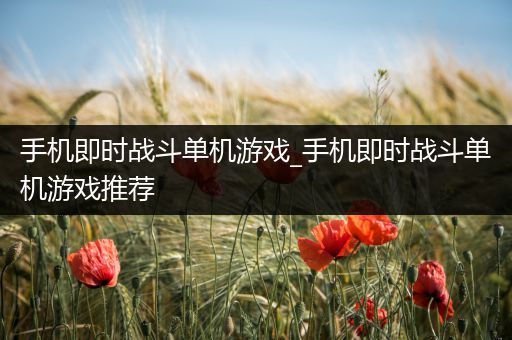 手机即时战斗单机游戏_手机即时战斗单机游戏推荐