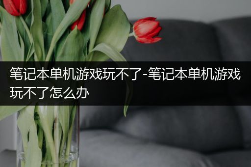 笔记本单机游戏玩不了-笔记本单机游戏玩不了怎么办