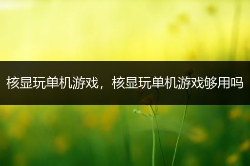 核显玩单机游戏，核显玩单机游戏够用吗