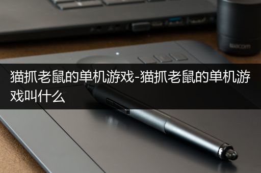 猫抓老鼠的单机游戏-猫抓老鼠的单机游戏叫什么