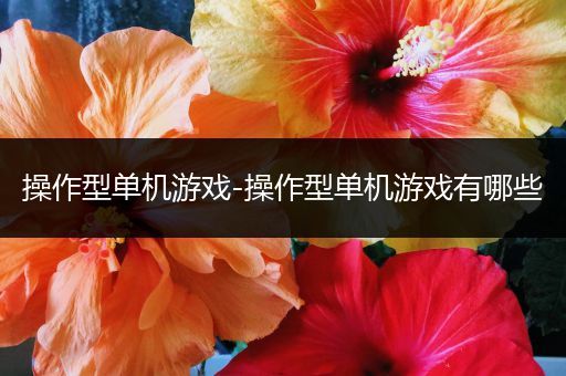 操作型单机游戏-操作型单机游戏有哪些