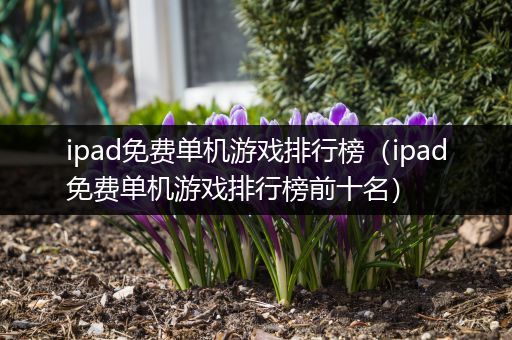 ipad免费单机游戏排行榜（ipad免费单机游戏排行榜前十名）
