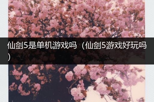 仙剑5是单机游戏吗（仙剑5游戏好玩吗）
