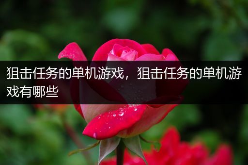狙击任务的单机游戏，狙击任务的单机游戏有哪些