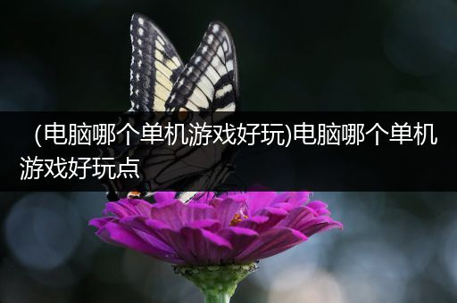 （电脑哪个单机游戏好玩)电脑哪个单机游戏好玩点