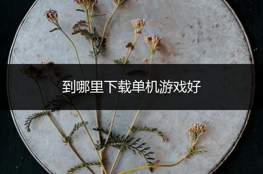 到哪里下载单机游戏好