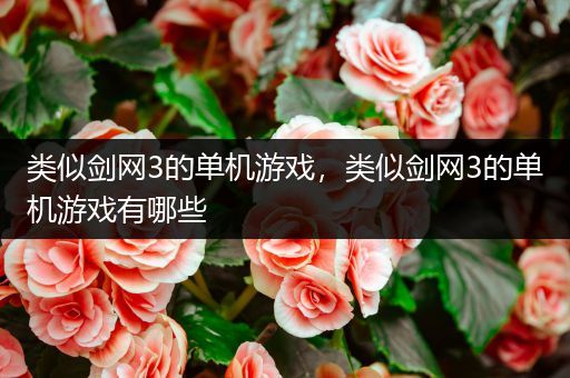 类似剑网3的单机游戏，类似剑网3的单机游戏有哪些