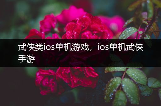 武侠类ios单机游戏，ios单机武侠手游
