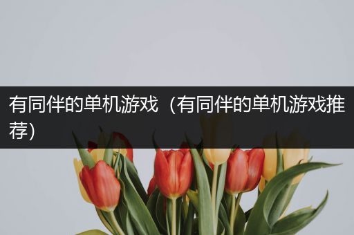 有同伴的单机游戏（有同伴的单机游戏推荐）