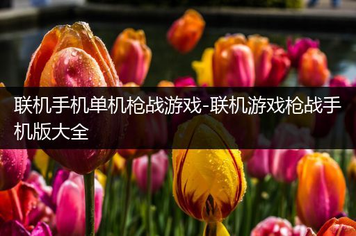 联机手机单机枪战游戏-联机游戏枪战手机版大全