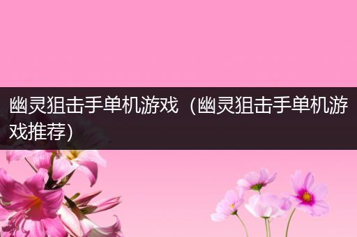 幽灵狙击手单机游戏（幽灵狙击手单机游戏推荐）