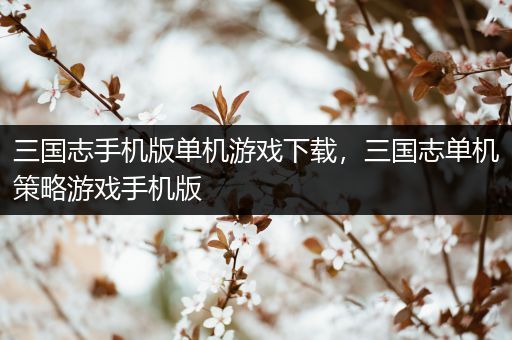 三国志手机版单机游戏下载，三国志单机策略游戏手机版