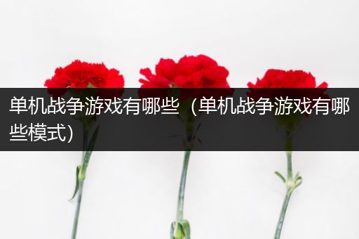 单机战争游戏有哪些（单机战争游戏有哪些模式）