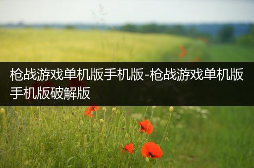 枪战游戏单机版手机版-枪战游戏单机版手机版破解版