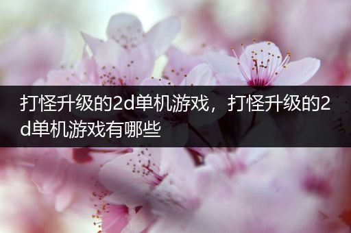 打怪升级的2d单机游戏，打怪升级的2d单机游戏有哪些