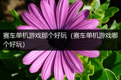 赛车单机游戏那个好玩（赛车单机游戏哪个好玩）