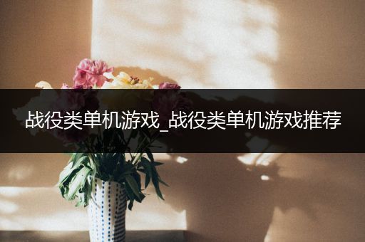 战役类单机游戏_战役类单机游戏推荐
