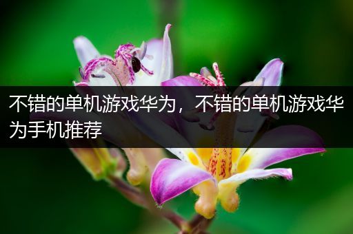 不错的单机游戏华为，不错的单机游戏华为手机推荐