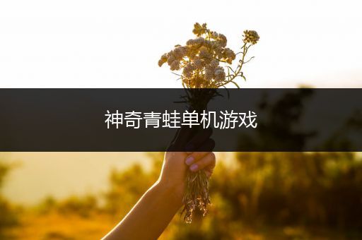神奇青蛙单机游戏