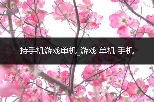 持手机游戏单机_游戏 单机 手机