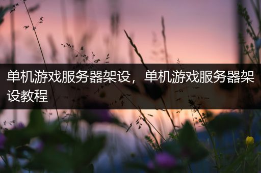 单机游戏服务器架设，单机游戏服务器架设教程
