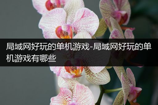 局域网好玩的单机游戏-局域网好玩的单机游戏有哪些
