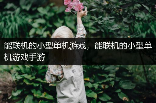 能联机的小型单机游戏，能联机的小型单机游戏手游