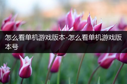 怎么看单机游戏版本-怎么看单机游戏版本号