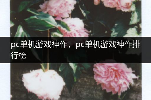 pc单机游戏神作，pc单机游戏神作排行榜