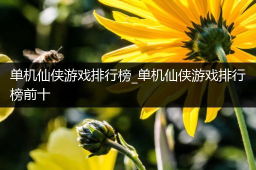 单机仙侠游戏排行榜_单机仙侠游戏排行榜前十