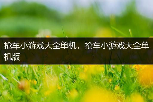 抢车小游戏大全单机，抢车小游戏大全单机版