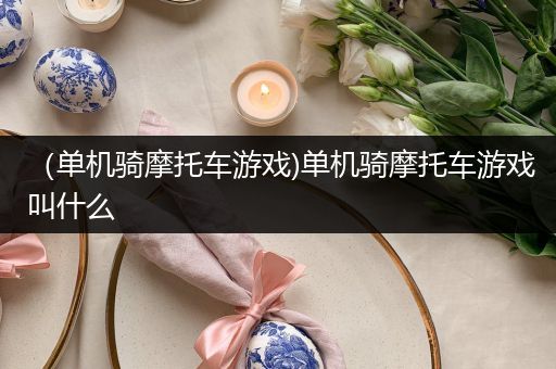 （单机骑摩托车游戏)单机骑摩托车游戏叫什么
