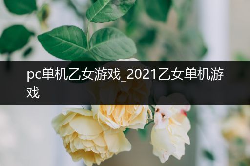 pc单机乙女游戏_2021乙女单机游戏