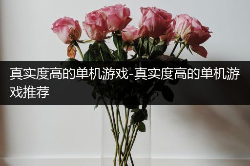 真实度高的单机游戏-真实度高的单机游戏推荐