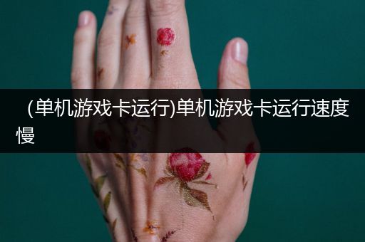 （单机游戏卡运行)单机游戏卡运行速度慢