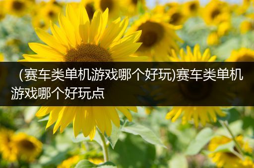 （赛车类单机游戏哪个好玩)赛车类单机游戏哪个好玩点